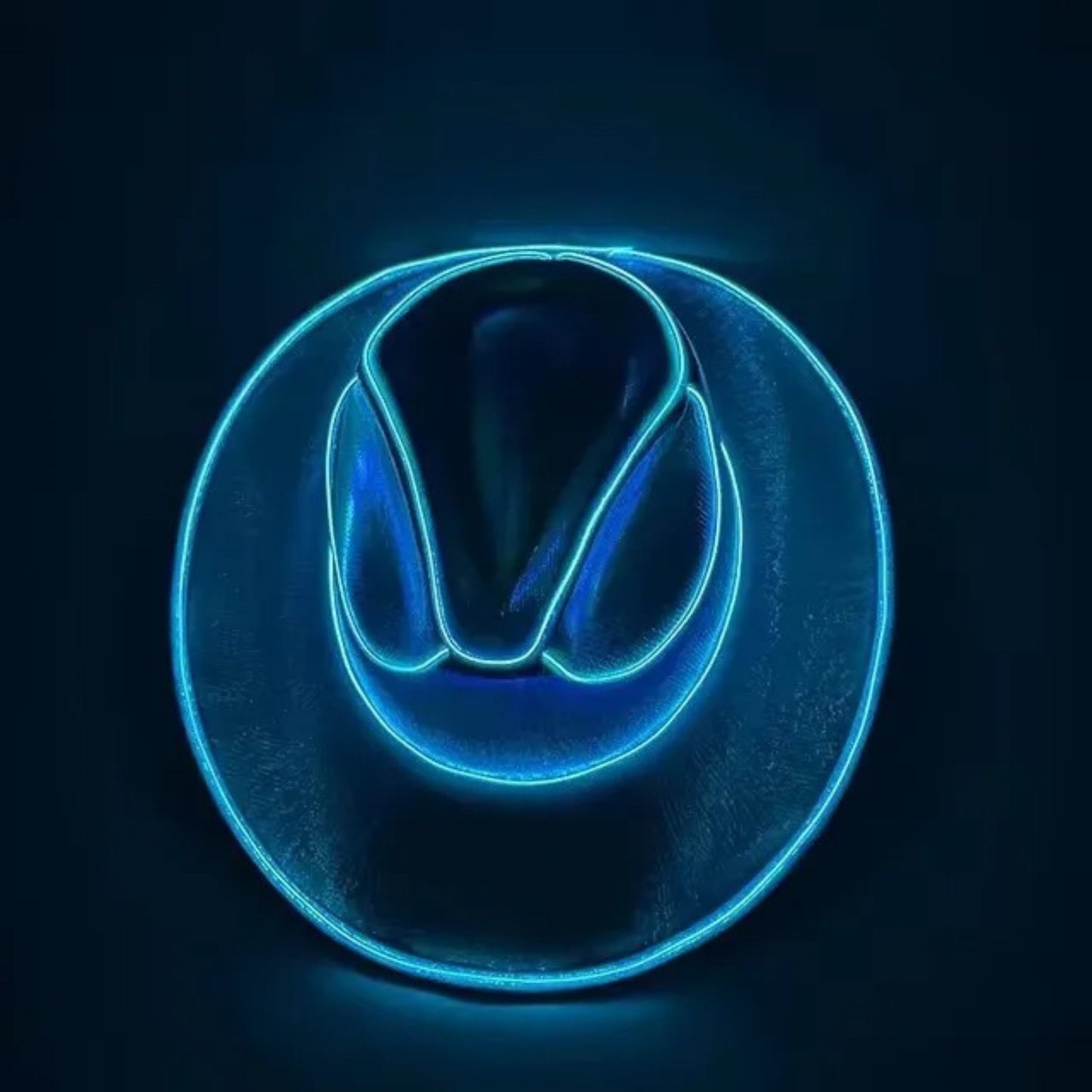 LED Light Up Cowboy/Cowgirl Hat – Luminous Western Party Hat